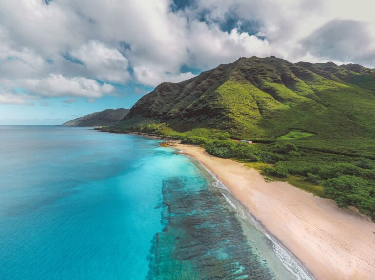 Turquoise coastline and green cliffs seen from above